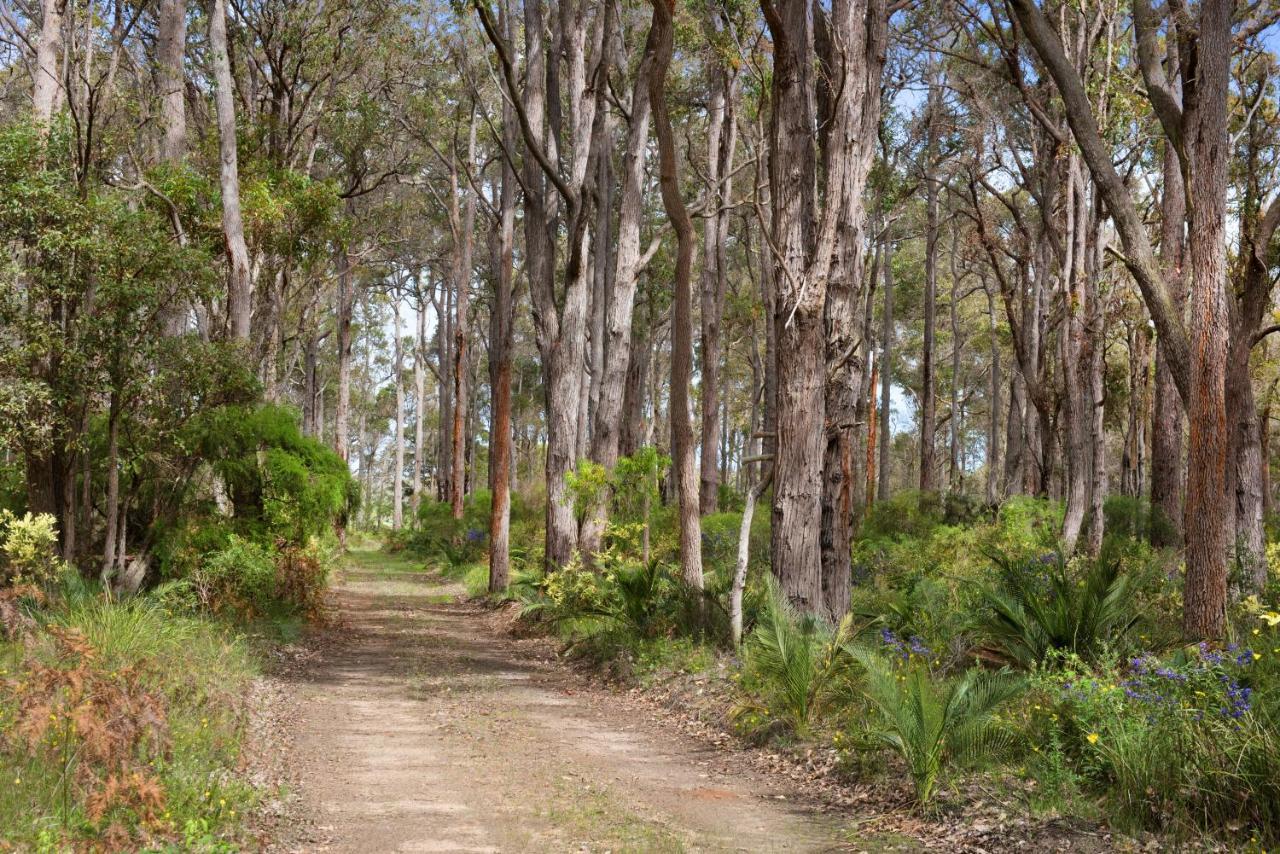 Redgate Forest Retreat Witchcliffe Exteriör bild